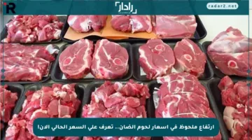 ارتفاع ملحوظ في أسعار لحوم الضأن.. تعرف على السعر الحالي الآن!